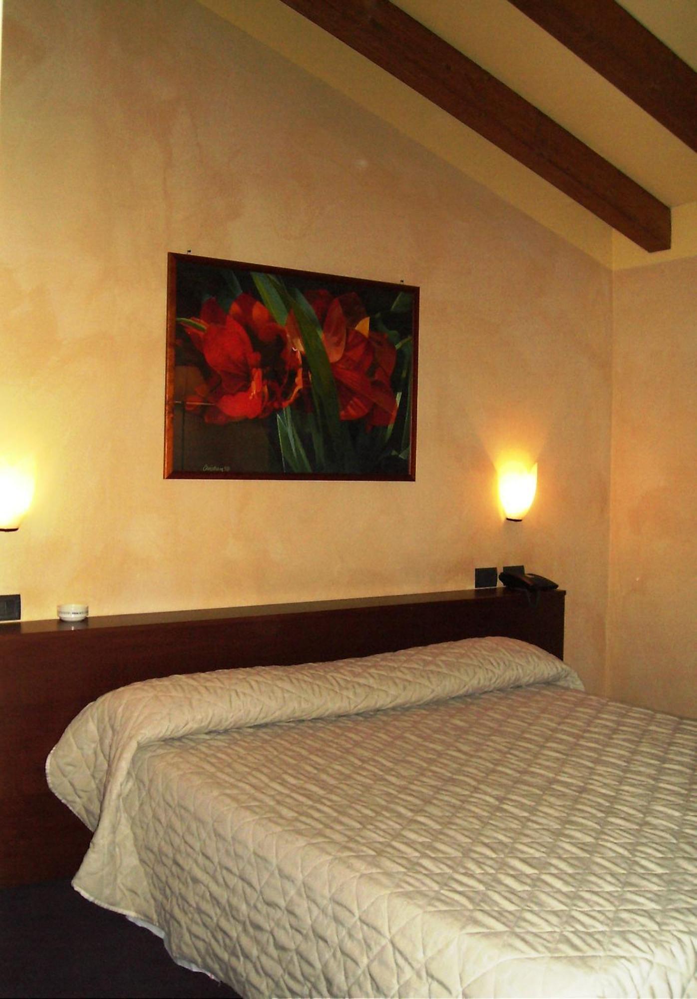 Hotel Parco Castelvetro Piacentino Habitación foto